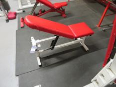 An Unbranded Adjustable Exercise Bench