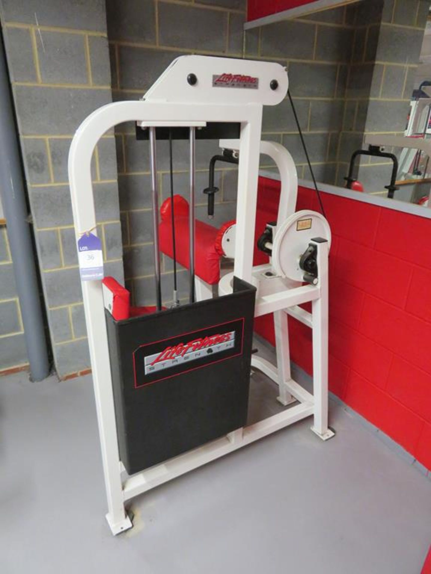 Life Fitness Triceps Exercise Machine - Image 2 of 3