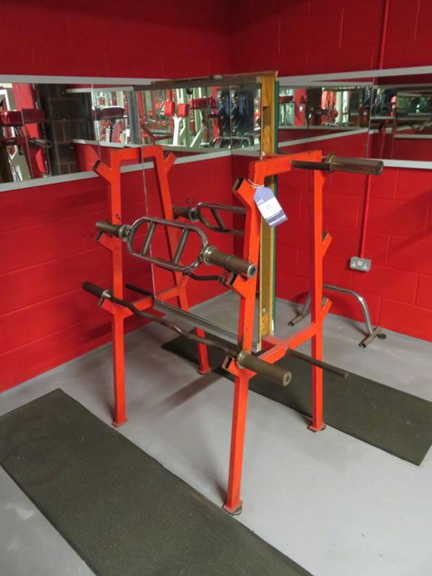 2 x Curling Bars, Triceps Bar comes with stand - Image 2 of 3