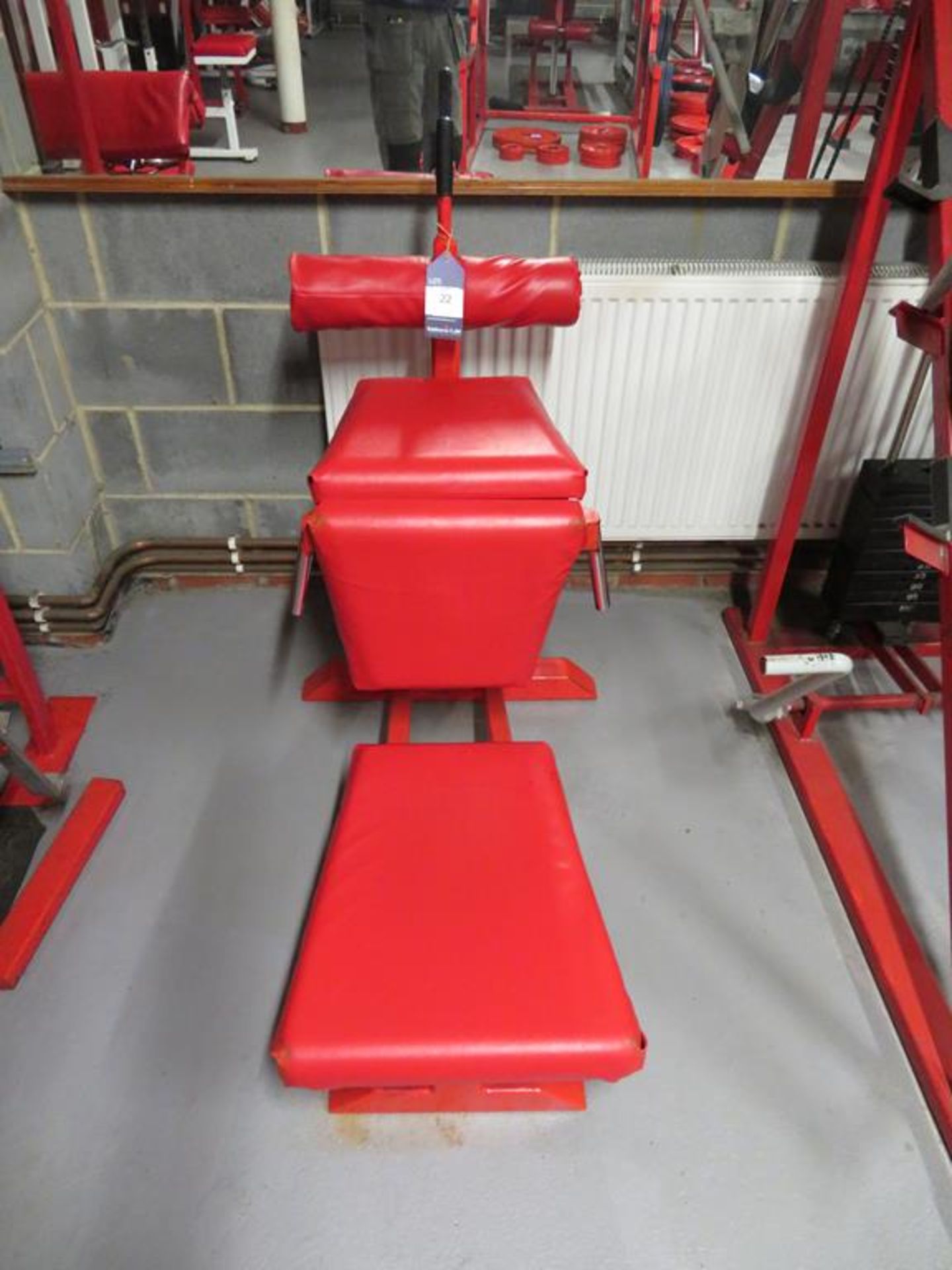 Abs Exercise Bench