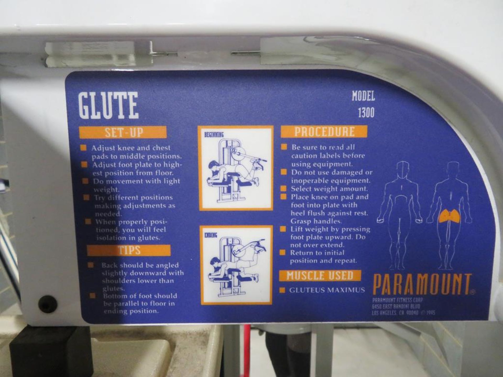 A Paramount Model 1300 Glute Exercising machine - Image 4 of 4