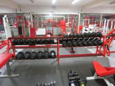 A Large 3 Tier Dumbbell Rack