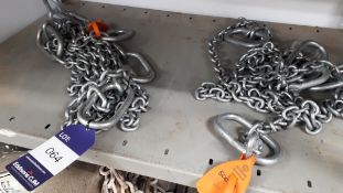 2 x Lifting chains, 500KG capacity