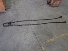 2 leg lifting chain