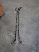 2 leg lifting chain