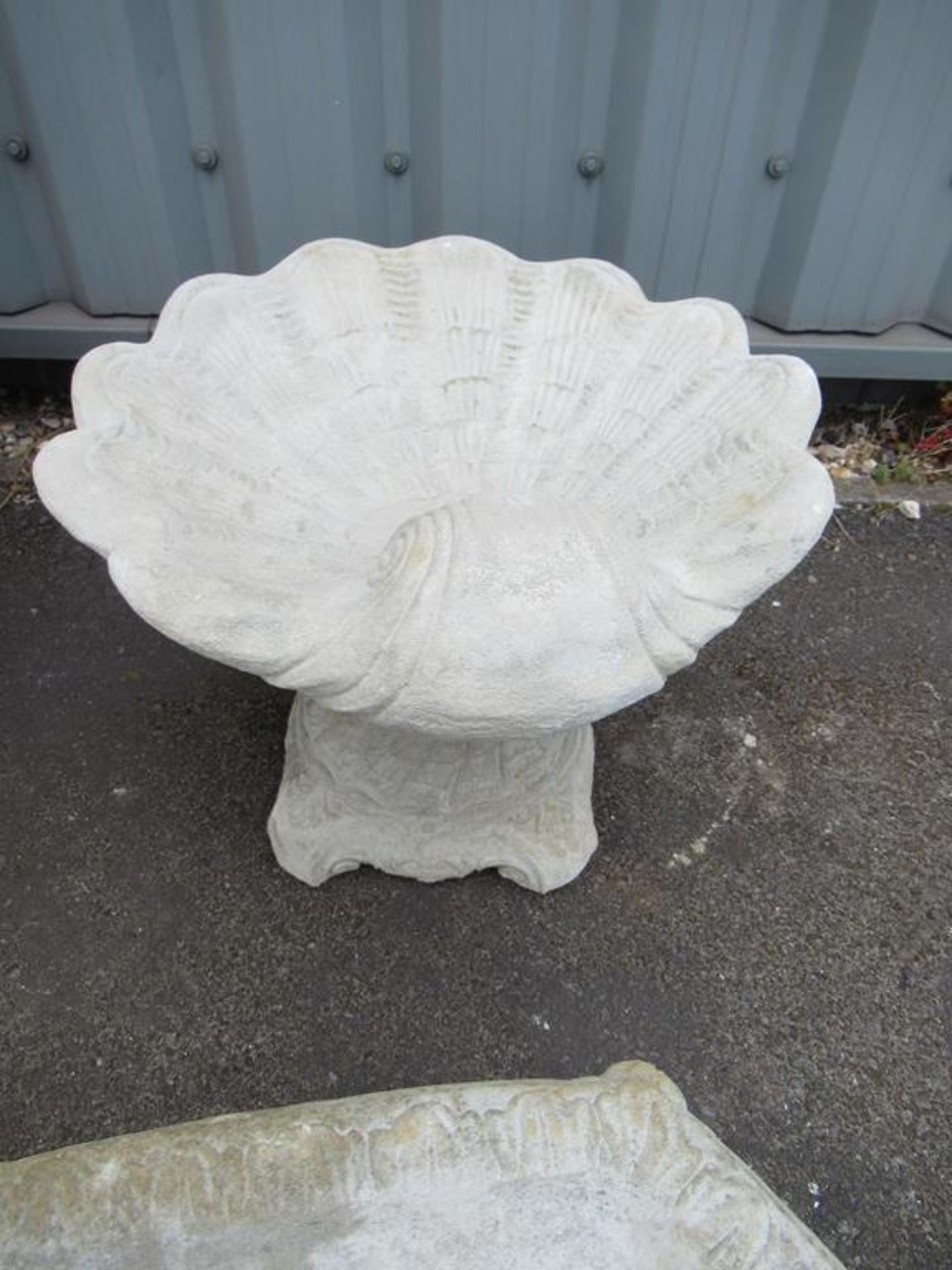 Shell Bird Bath – large shell on decorative base