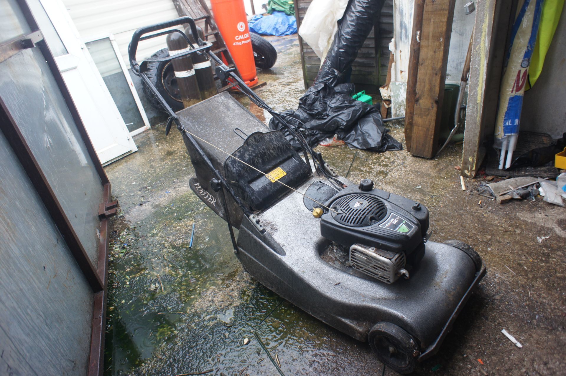 Hayter Harrier 56 self-propelled petrol Lawnmower with rear roller - Image 2 of 7