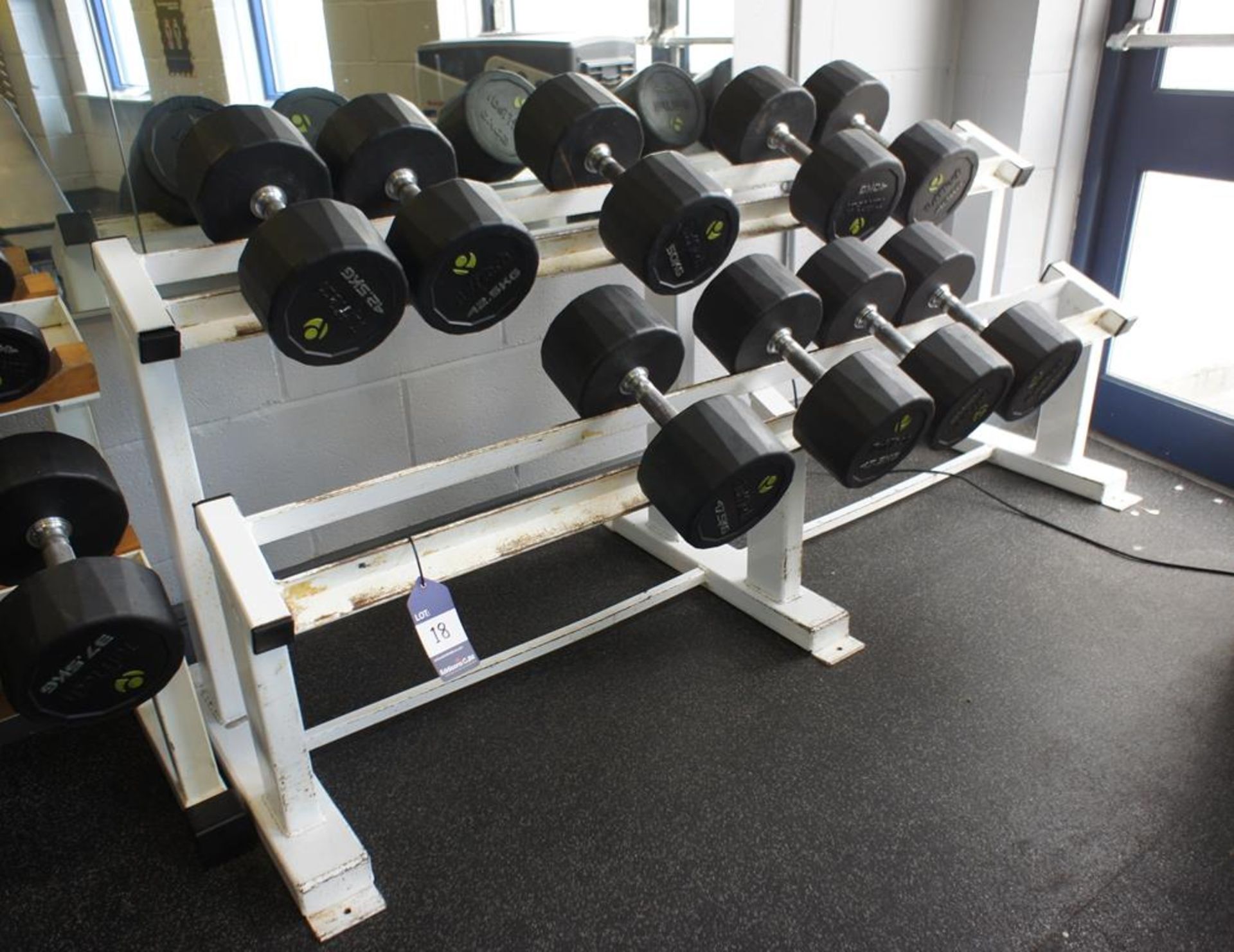 Steel Fabricated Free Weights Rack with various Tu