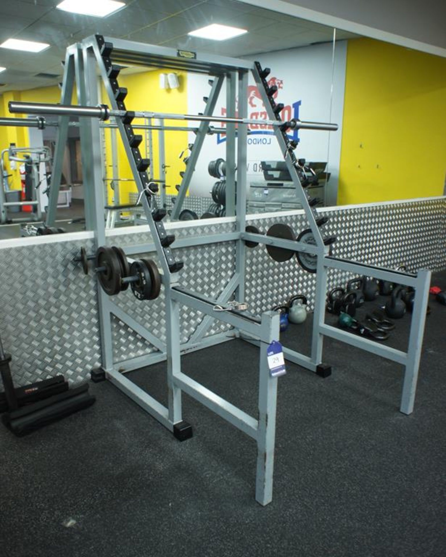 Technogym Squat Station with 2 bars and weights