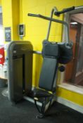 Technogym Vertical Traction Machine