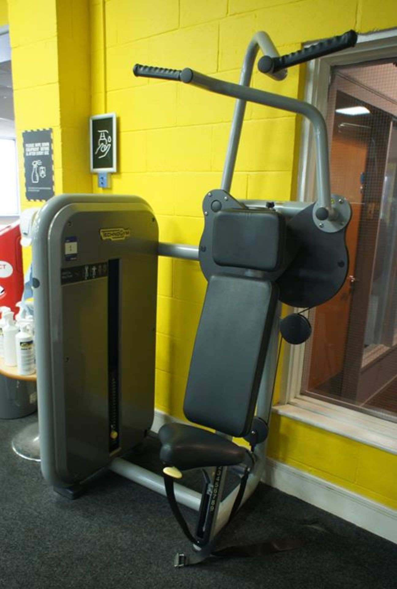 Technogym Vertical Traction Machine