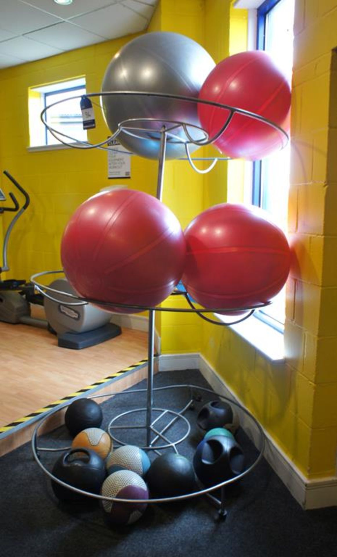 Steel Fabricated Exercise Ball Rack with contents