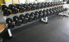 Steel Fabricated Free Weights Rack with various Tu