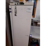 Unbadged upright freezer