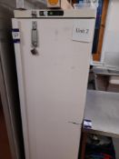 Unbadged upright freezer