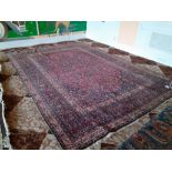 Persian Style Rug 5,000 x 3,550mm