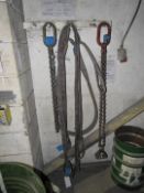 3 Various Lifting Chains/Clamps and 2 Various Lifting Straps