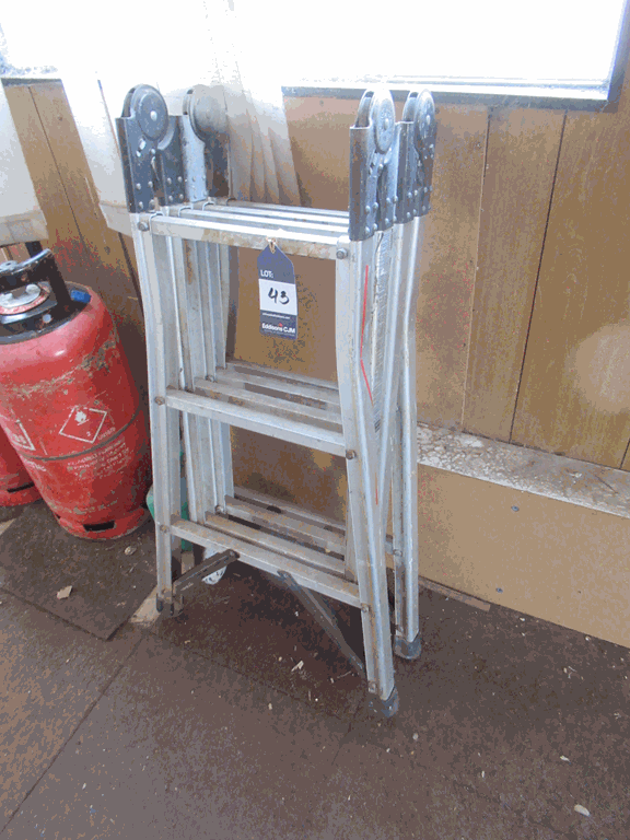 2 x Various Step Ladders