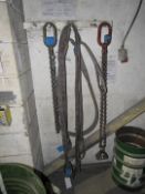 3 Various Lifting Chains/Clamps and 2 Various Lift