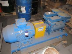 Apex Vacuum Pump with TEC 30.04 3 TECCB 3-HE3, 30k