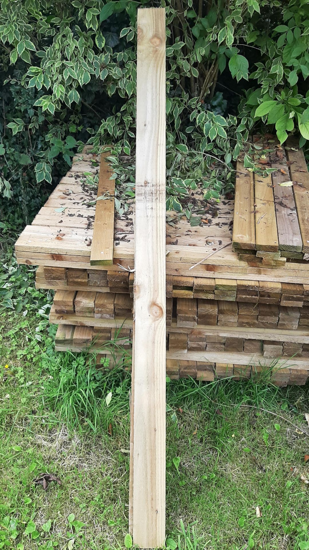 50 Treated Pine Boards - Image 3 of 3