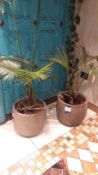 Pair of Ceramic Planters, Located at First Floor, The Bentall Centre, Wood Street, Kingston Upon