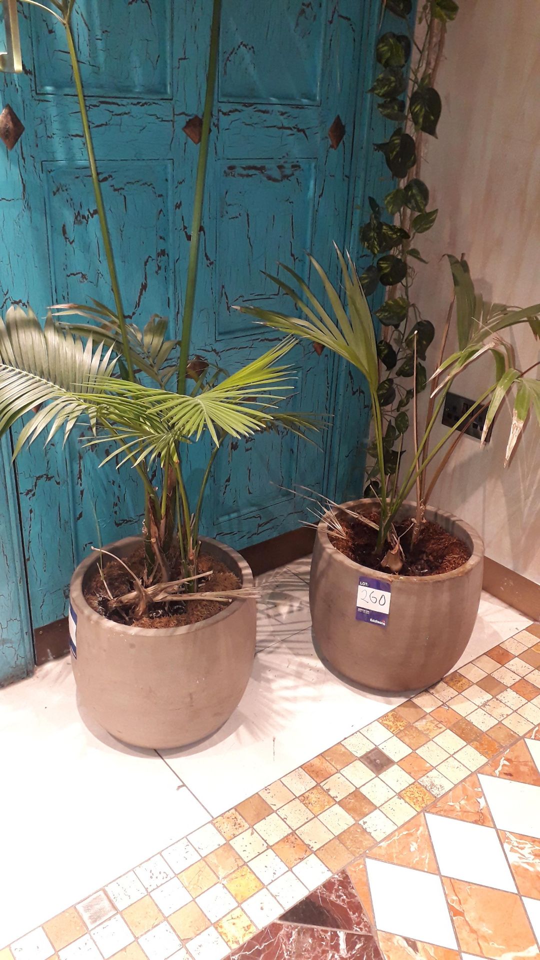 Pair of Ceramic Planters, Located at First Floor, The Bentall Centre, Wood Street, Kingston Upon