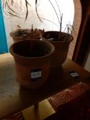 3 x Terracotta Plant Pots, Located at 14 Leicester Square, London WC2H 7NG