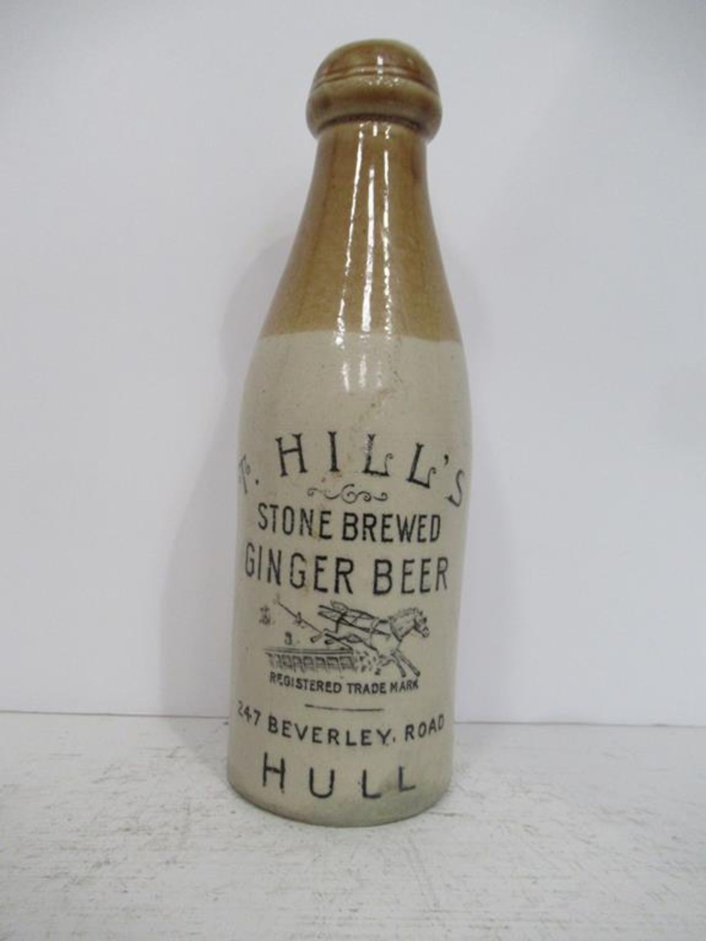 Hull T. Hills stone brewed ginger beer bottle (20cm)