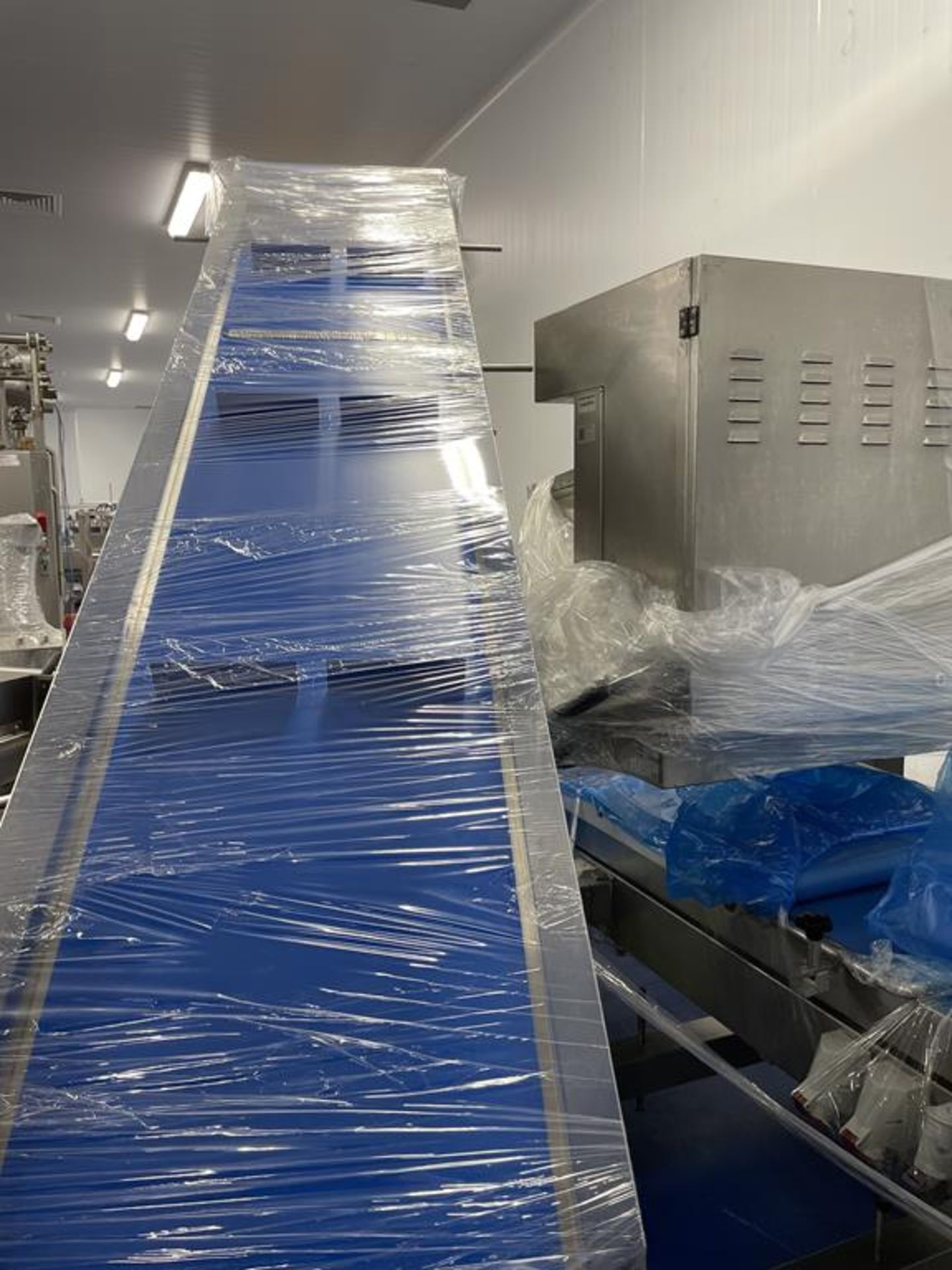 Canol Laminating and Sheeting Pastry line with depositing for the production of Swirls - Image 33 of 34