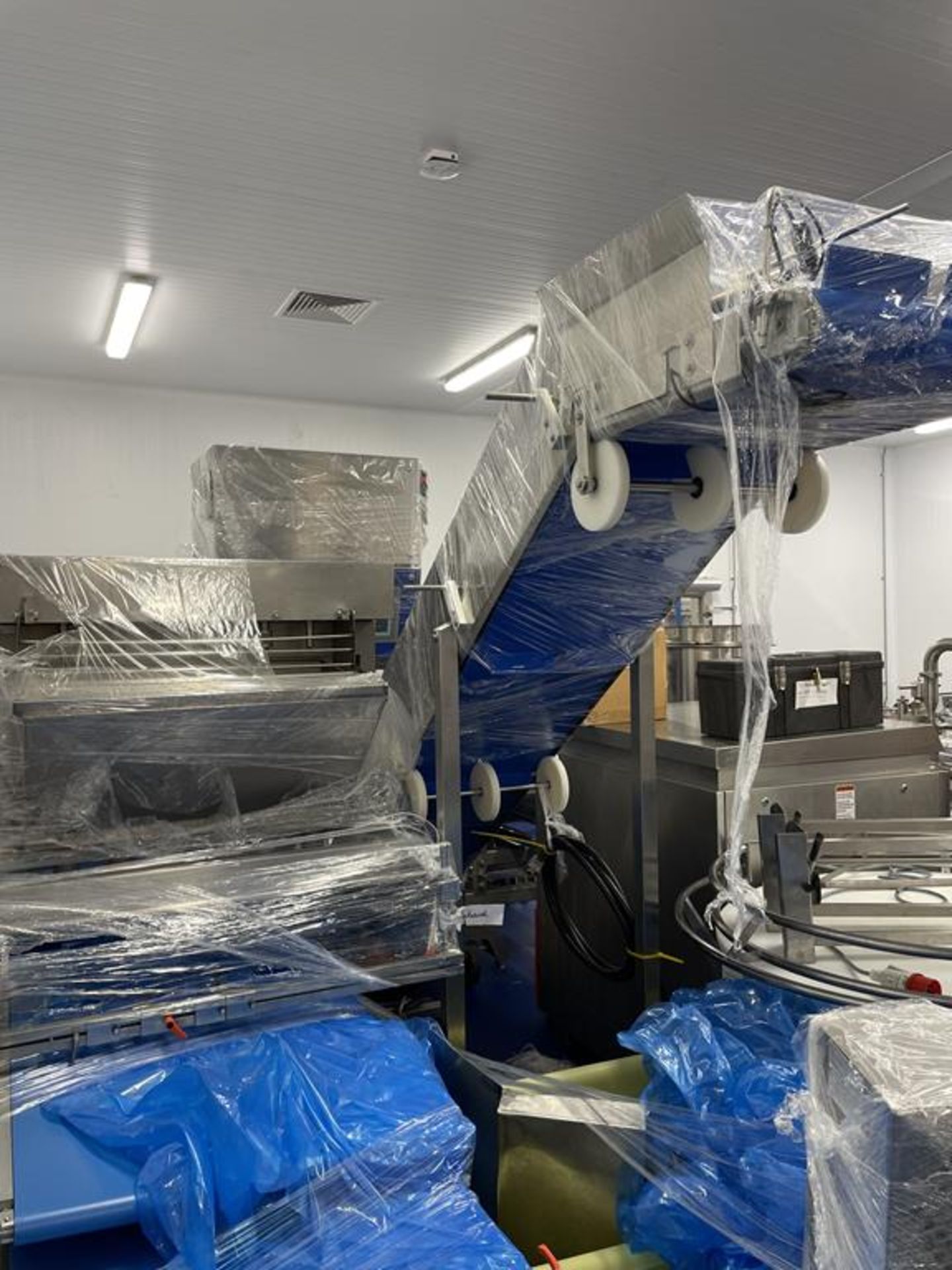 Canol Laminating and Sheeting Pastry line with depositing for the production of Swirls - Image 2 of 34