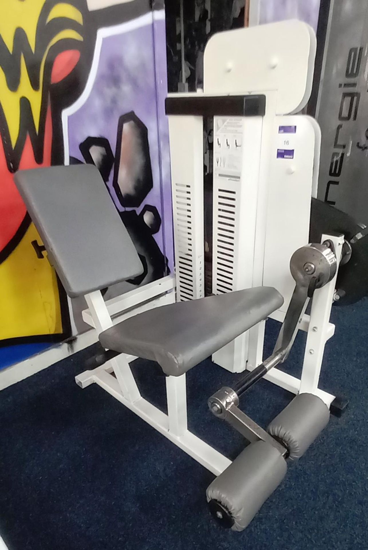 Guardian Rack Weighted Knee Extension Machine