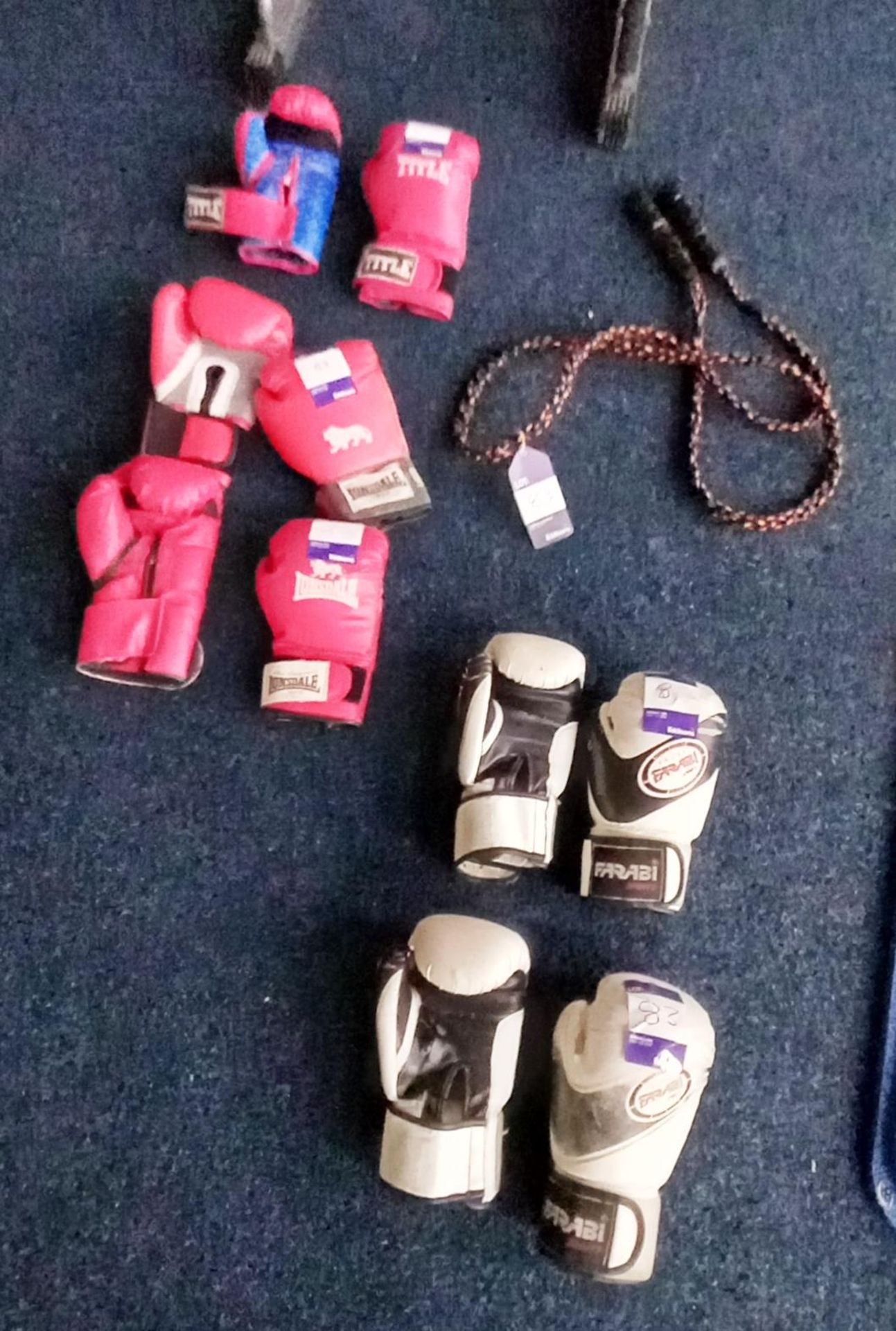 5 x various Boxing Gloves and Skipping Rope