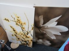 4 Large Canvas Art Prints (Ikea) – (Located in York)