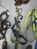 Safety Harness with certificate