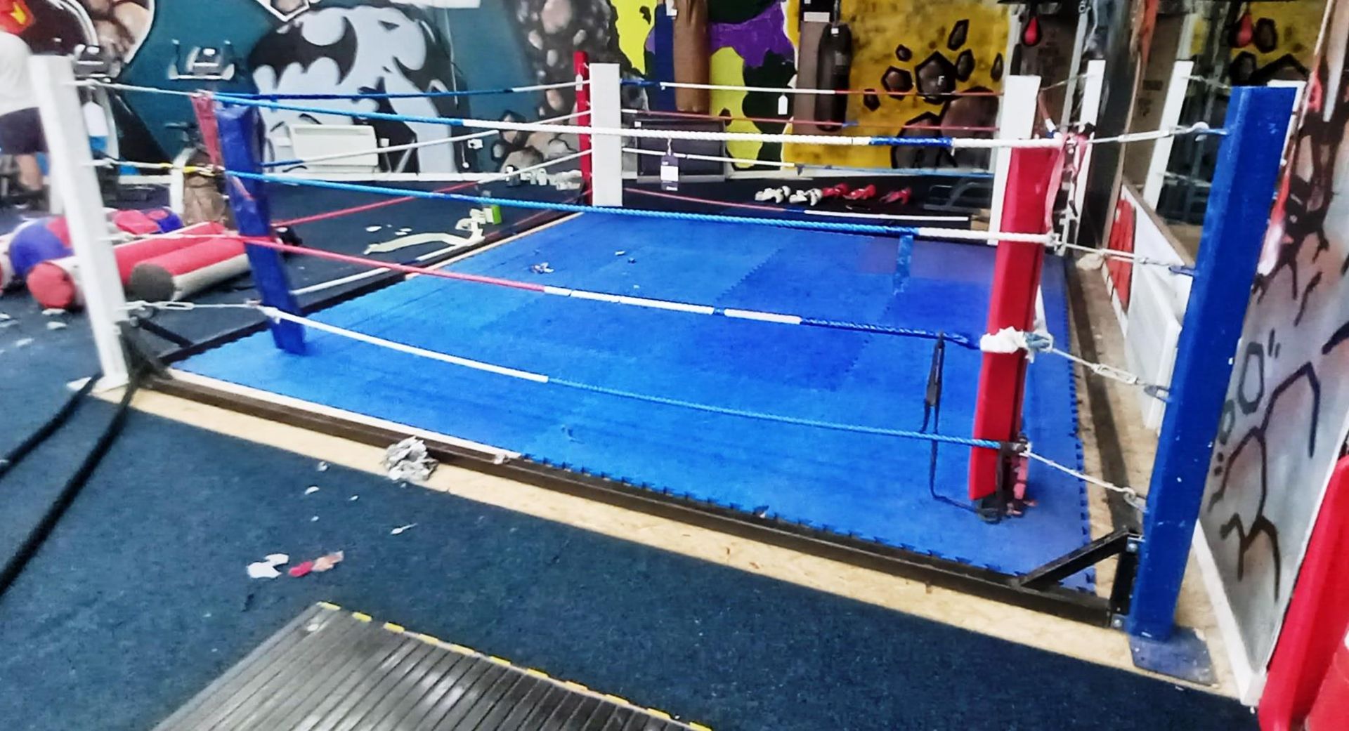 Approx. 4 x 4m Boxing Ring and Flooring - Image 3 of 3