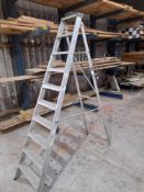 10 Tread aluminium ladder