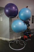 Exercise Ball Stand with 4 Exercise Balls