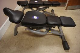 Technogym Weights Bench