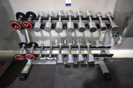 Technogym Dumbbell Rack with 18 Various Weights