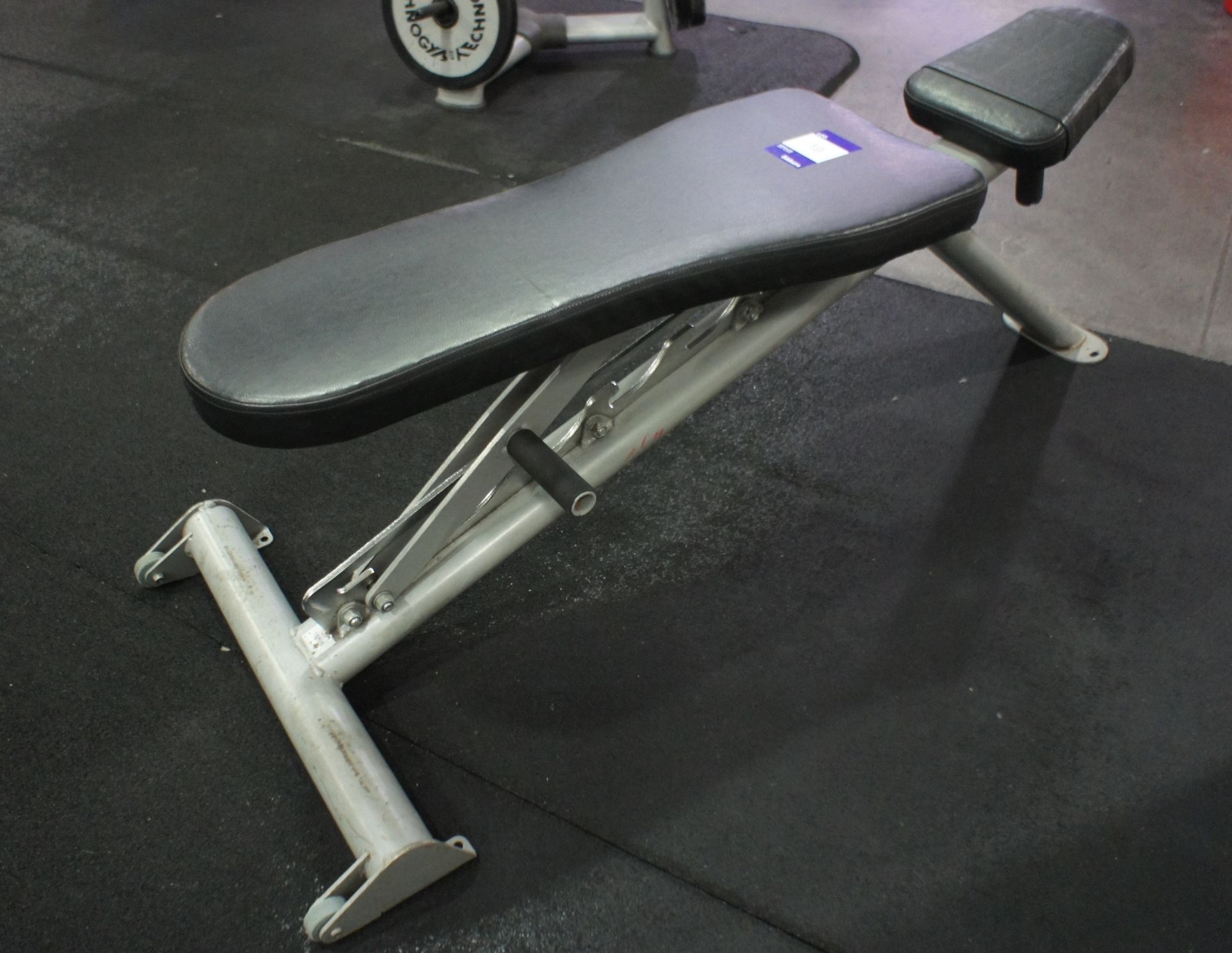 Weights Bench