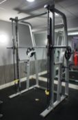 Technogym Free Weights Stand 2 Weights and Rack and Pinion Target