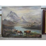 Oil Canvas of Cattle in Highland by Unknown Artist (76cm x 61cm)