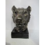 'Rosa' Female Lion/ Leopard Head (22cm x 32cm)