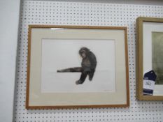 Water Colour of Chimp signed Mark Irving (27cm x 38cm)