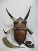 Shelf of Horn Related Items including Wall Hanging, Trinket Boxes etc