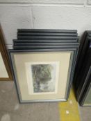 7 x Chinese Themed Prints Drawn by T. Allen and S. Prout in Frames (22cm x 17cm)