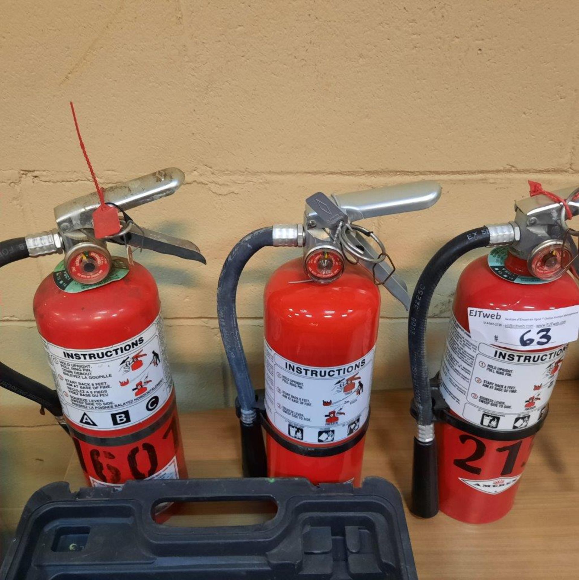 LOT: (3) Fire Extinguishers