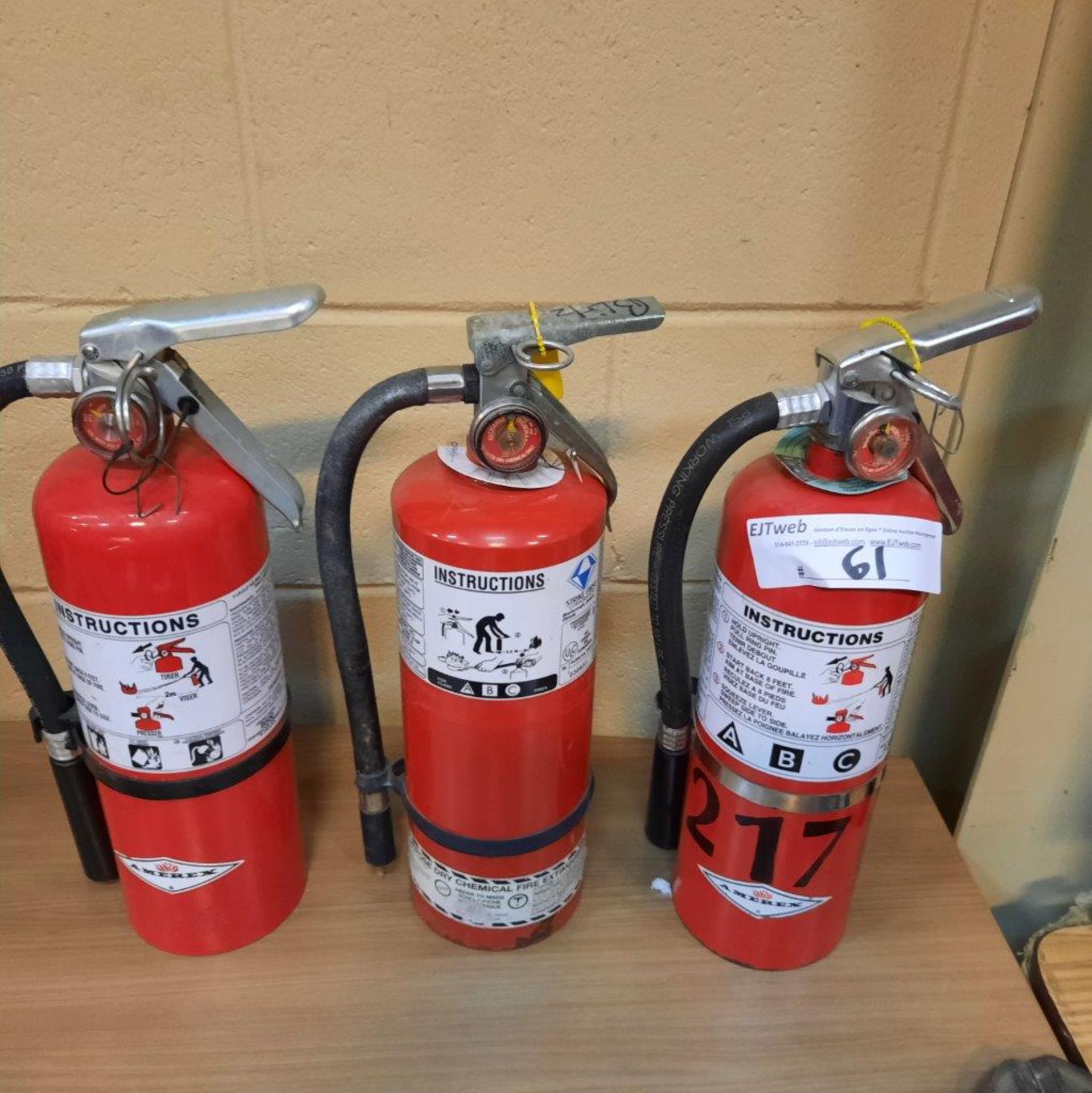 LOT: (3) Fire Extinguishers