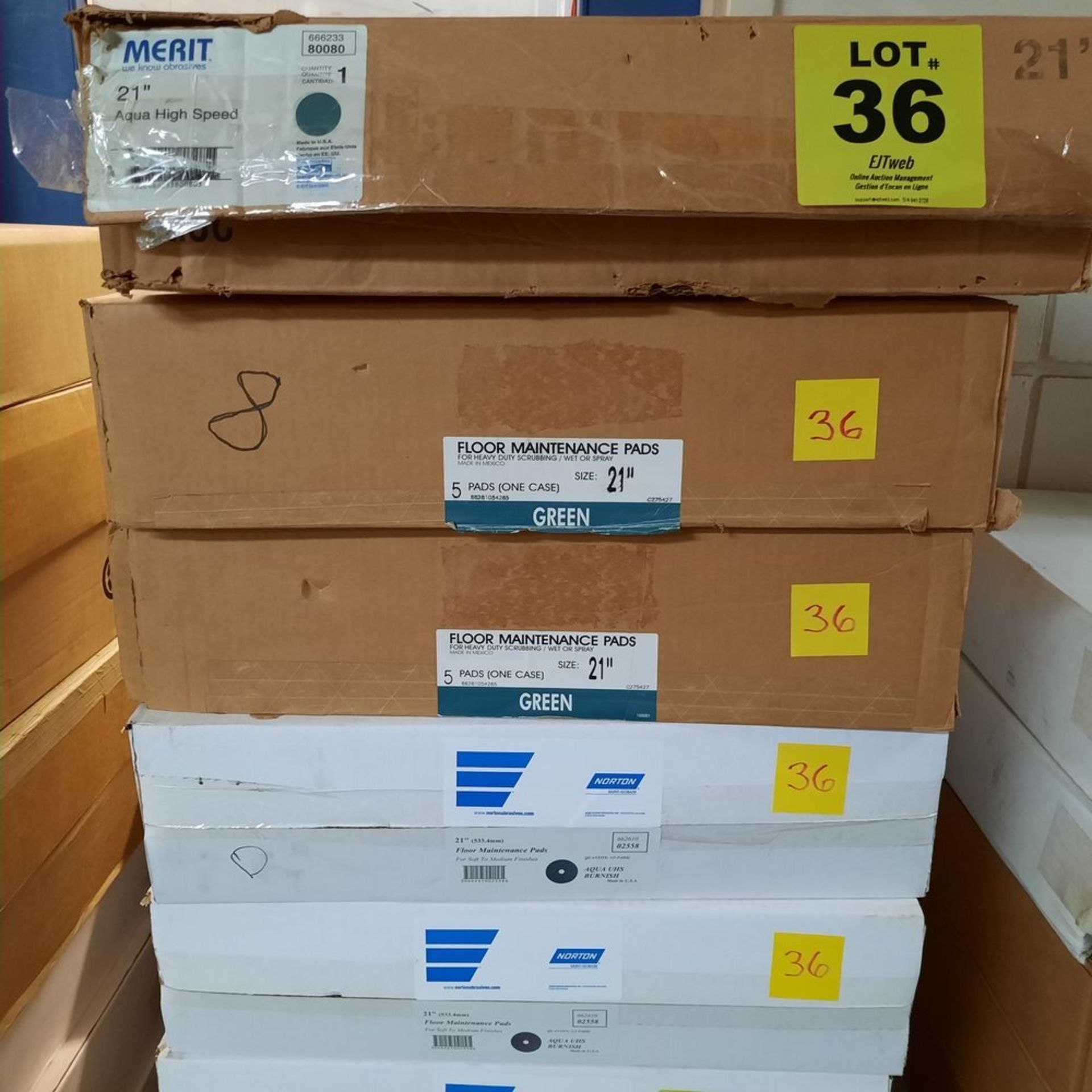 LOT: (5) boxes: 21'' Floor Pads (5 per box)